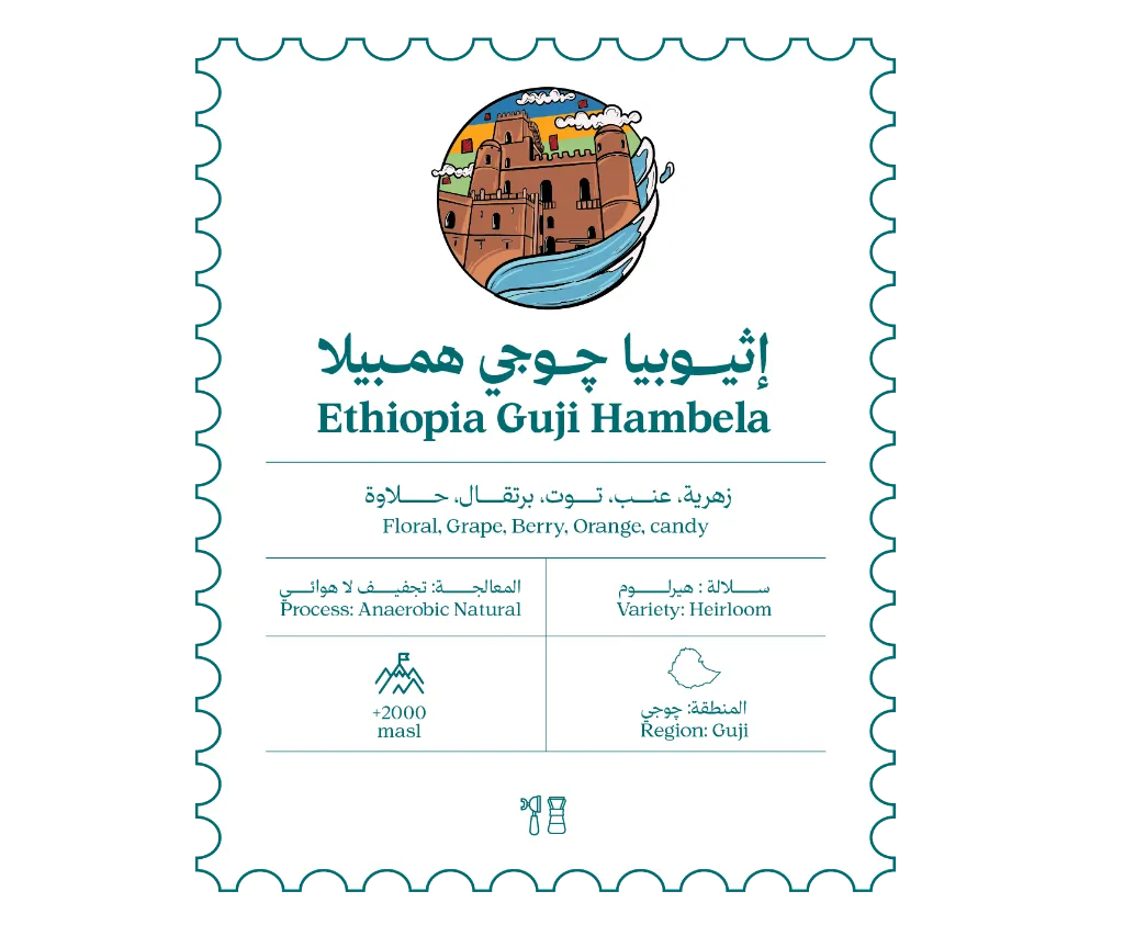 موقع-03.webp