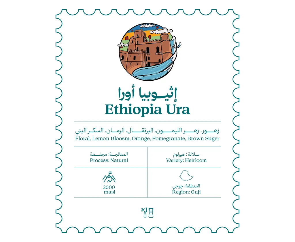 موقع-15.webp