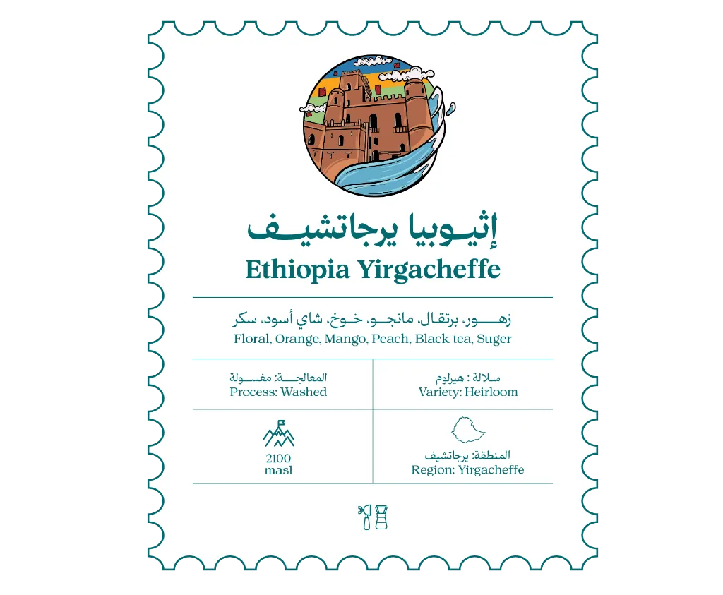 موقع-13.webp
