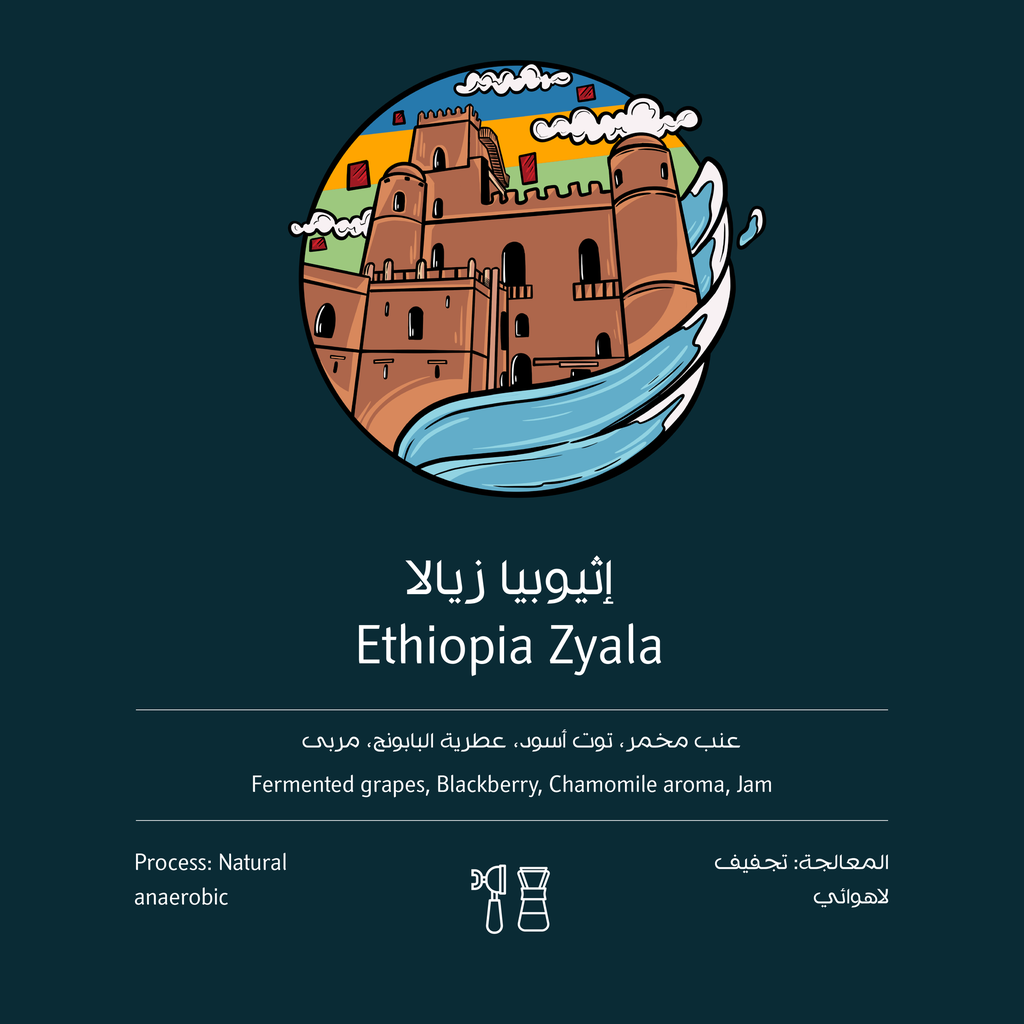 Ethiopia Yirgacheffe Zyala