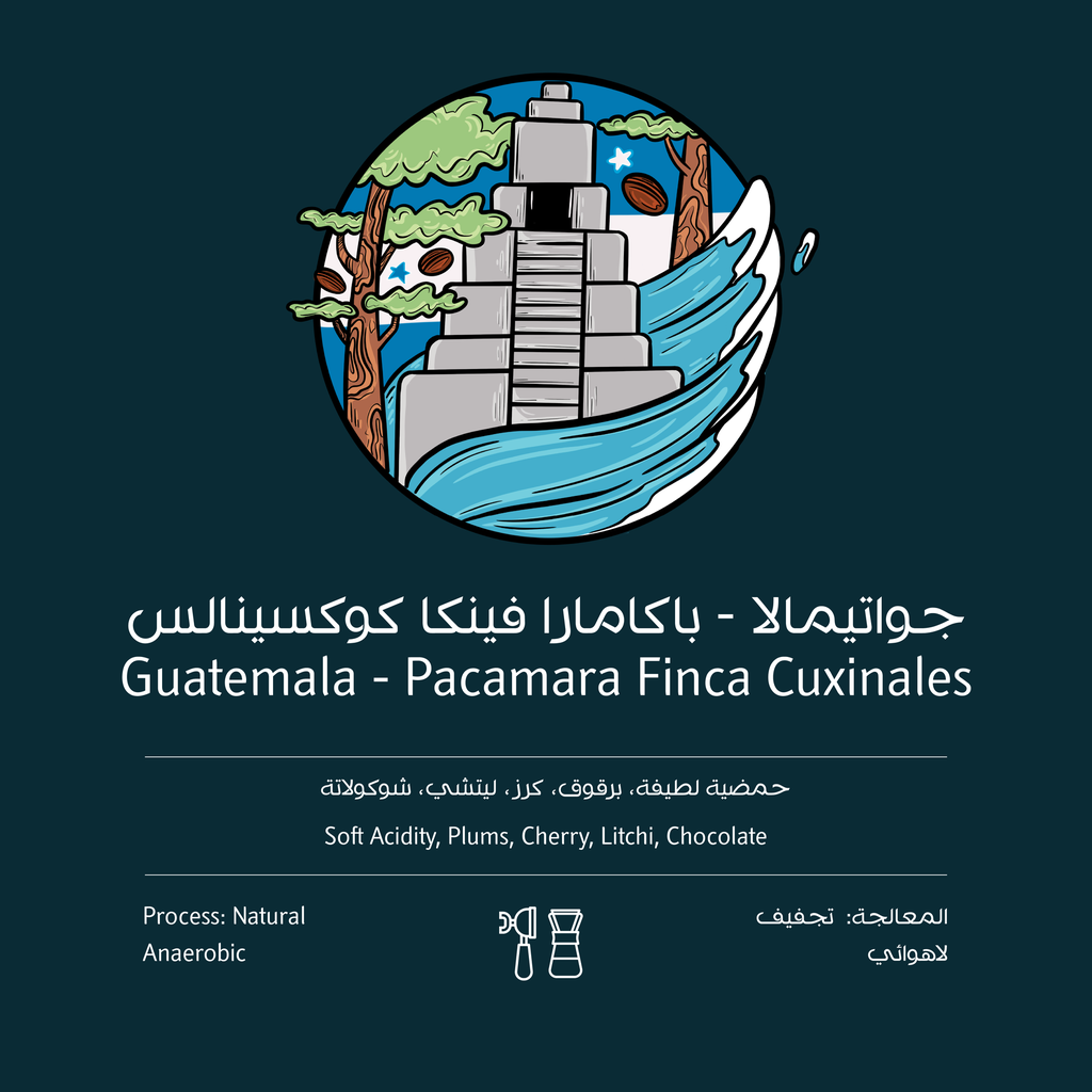 Guatemala Pacamara finca