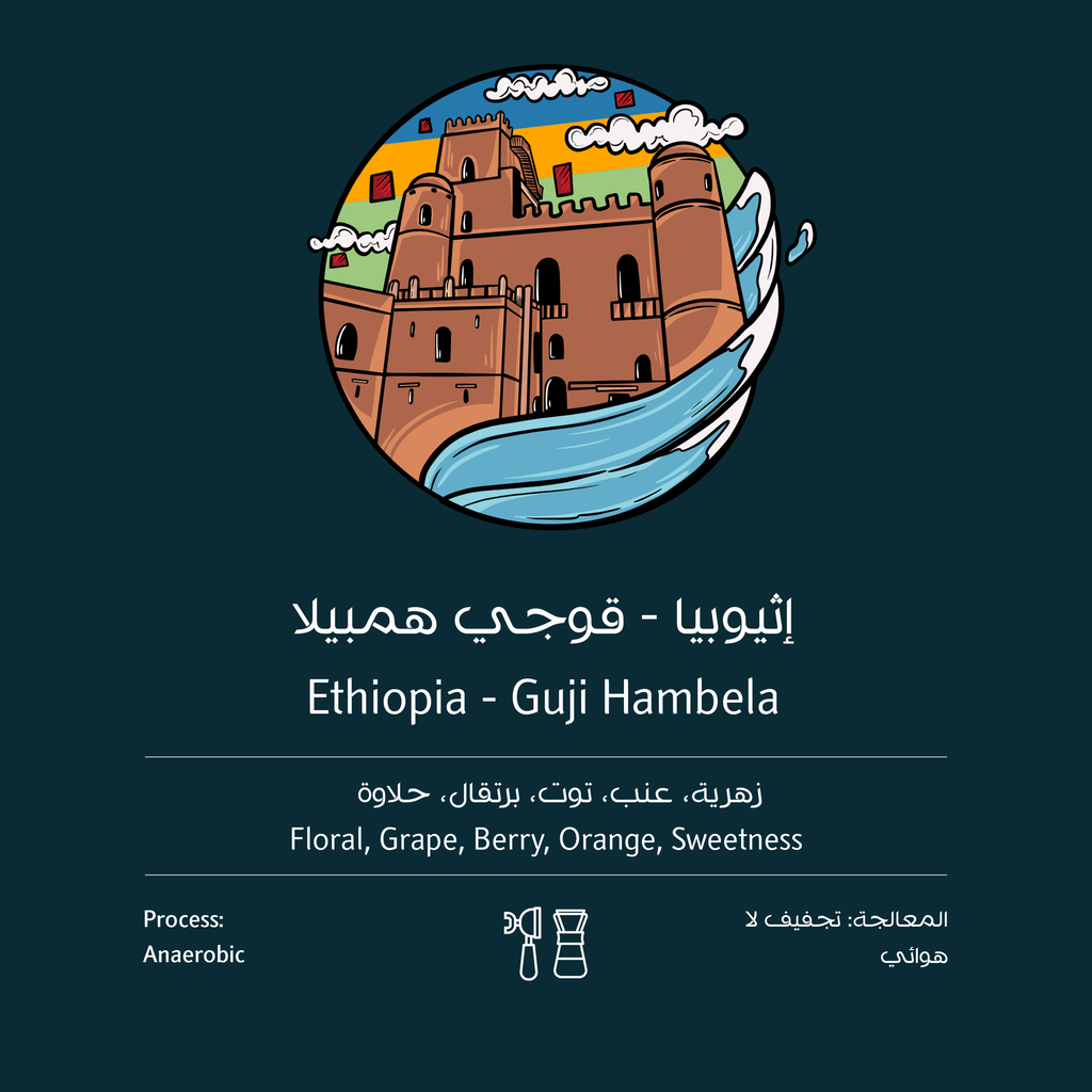 Ethiopia Guji Hambela Natural Anaerobic