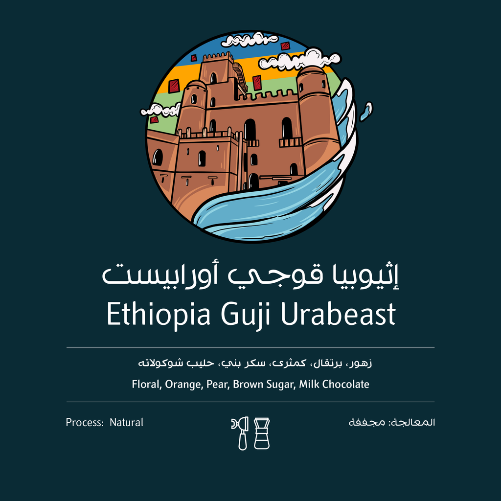 Ethiopia Urabeast Natural 