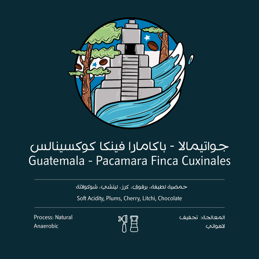 Guatemala Pacamara finca